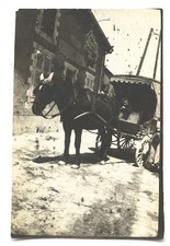 Enfants voiture à cheval carriole - photo ancienne deb. XXe s.