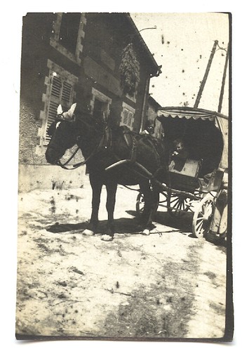 Enfants voiture cheval - enfants,