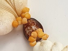 COLLIER DE COQUILLAGES NATURELS DU PACIFIQUE FANTAISIE ANNÉES 70 COLLECTION N°11