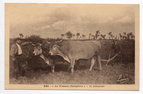 Agriculture campagne les - campagne,