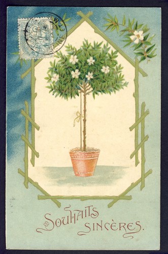 Carte postale kunzli frères - kunzli,