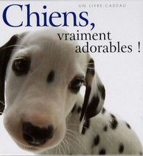 chiens vraiment adorables ! -