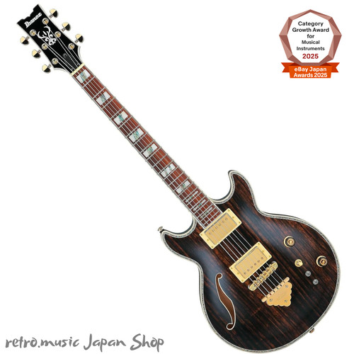 Guitare ibanez ar520hme - guitare, ar520hme-nt
