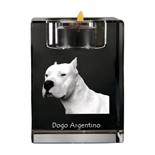 Dogue argentin bougeoir avec - dogue,