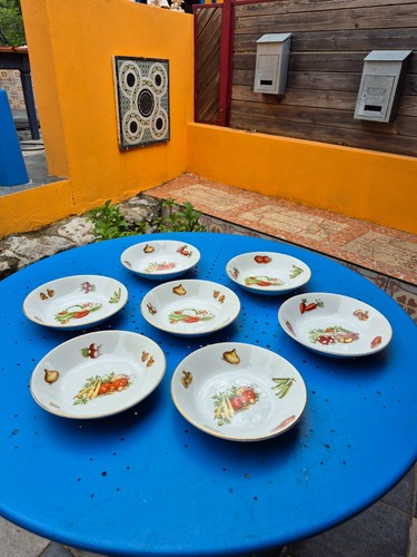 Lot assiettes creuses - assiettes,