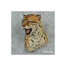 taxidermie statue réplique