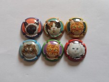 6 BELLES CAPSULES CHAMPAGNE