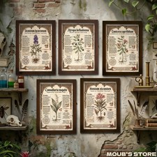 Affiche Botanique Plante