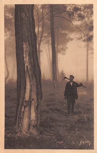 Les landes gemmeur - 40-les,