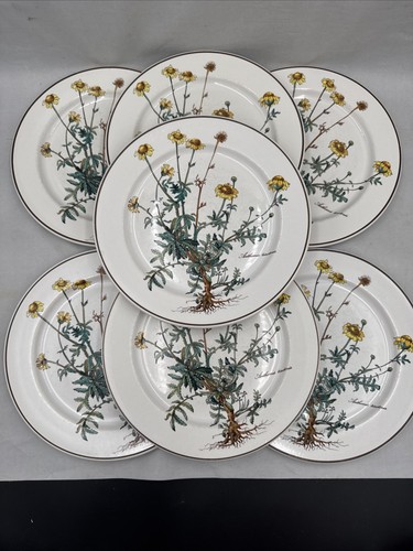 Villeroy boch botanica - &,