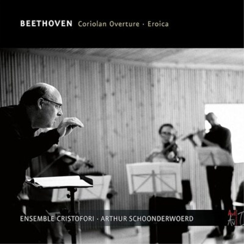 Ludwig van beethoven - van,