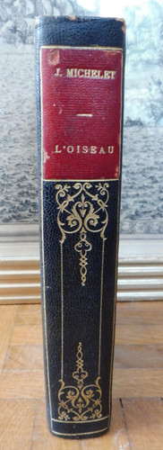 Oiseau 1908 - (jules,