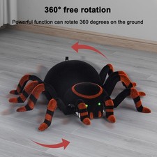 Wall Climbing Spider