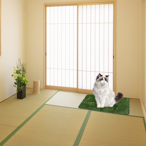Tapis entraînement pour - d'entraînement,