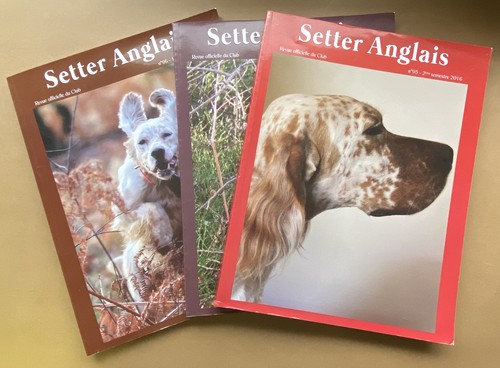 Lot revues le setter - lot, 3