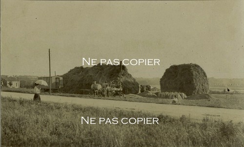 Locomobile vers 1900 - , moisson
