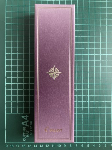 Stylo plume pilot - stylo, capless
