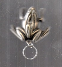 porte clée clef forme grenouille ancien collection sympa