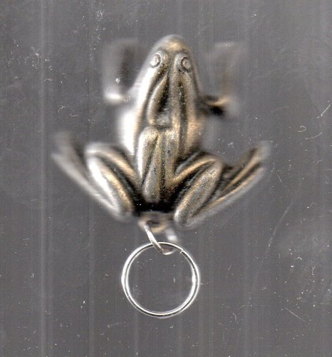 Porte clée clef - porte,