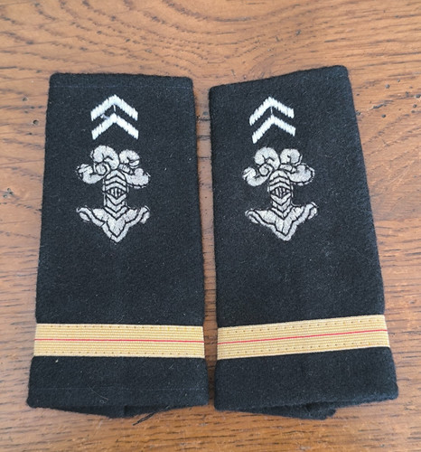 Insigne paire fourreaux arme - insigne,