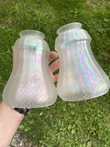 Paire verre lampe tulipe - paire,