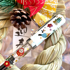 Stylo plume TWSBI ECO BUNGUBOX