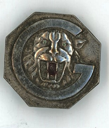 Marine guepard insigne - guepard,