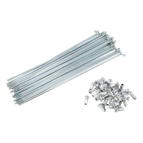 Set 12g rayons vélo - 38, de