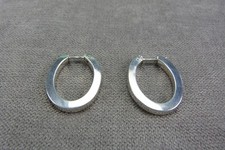 Ravissante paire de créoles