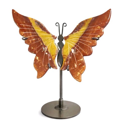 Ocean jasper butterfly - ocean,