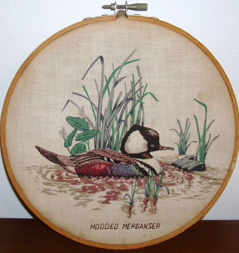 Hooded merganser bird wall - merganser,