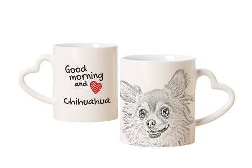 Chihuahua poil long - à,