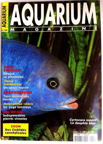 pierre vivante aquarium