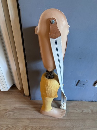 Otto bock prosthetic - otto,