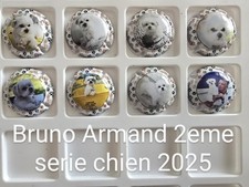  CAPSULES DE CHAMPAGNE Bruno Armand 2025 Les Chien 2er Serie