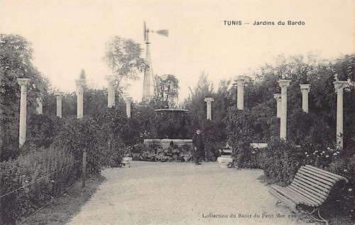 Tunisie tunis jardins - tunis,