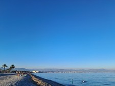 Veste Blazer Trench Coton