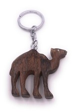 Dromadaire Chameau Désert