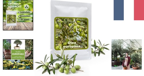 Graines olivier 10 pcs - -,