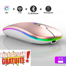 Souris Gaming RGB Sans Fil Bluetooth 5.2 + USB Rechargeable Silencieuse DPI Régl