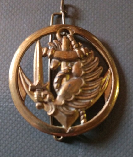 Insigne parachutiste beret - parachutiste,