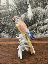 Oiseau Perruche Perchée En Porcelaine De Saxe Karl Ens