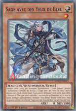 Yu-Gi-Oh! Sage avec des Yeux de Bleu : C SDWD-FR013