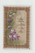 Magnifique carte postale en