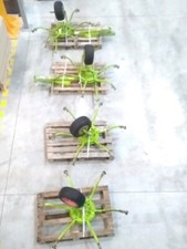 BLOC TOUPIE COMPLET CLAAS VOLTO  / NE 2325