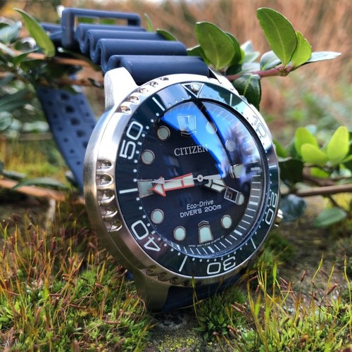 Steinhart ocean one citizen - ocean, one/citizen