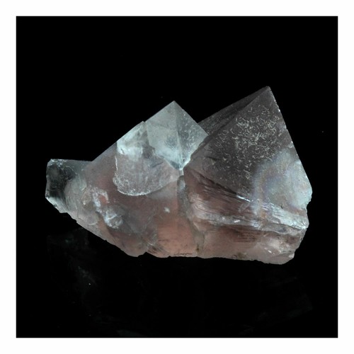 Fluorite rose ct - rose., 8.06