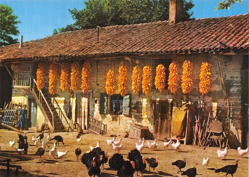 01-FERME
