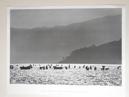 Affiche originale s salgado - s,