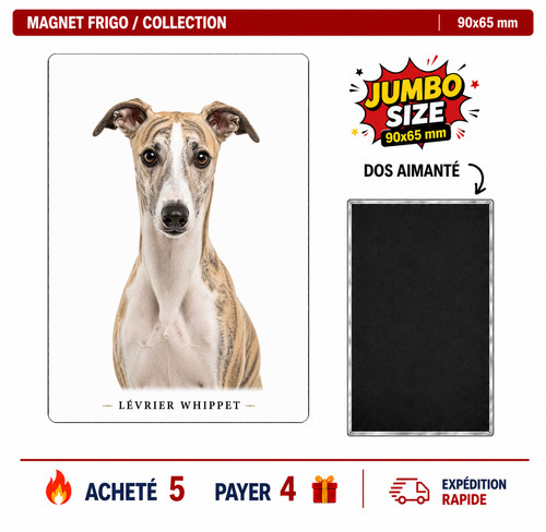 Magnet lévrier whippet - magnet,